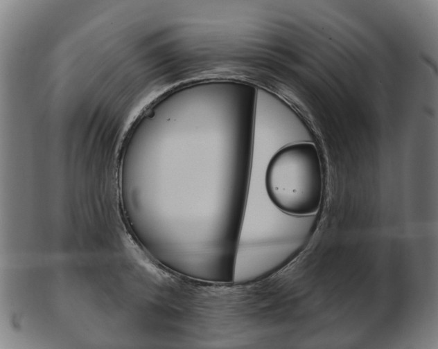 X0000103490800200809120949