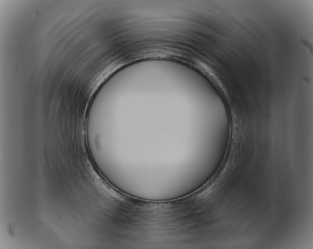 X0000103490802200809120949