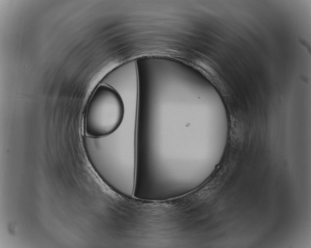 X0000103490804200809120949