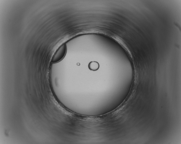 X0000103490805200809120949