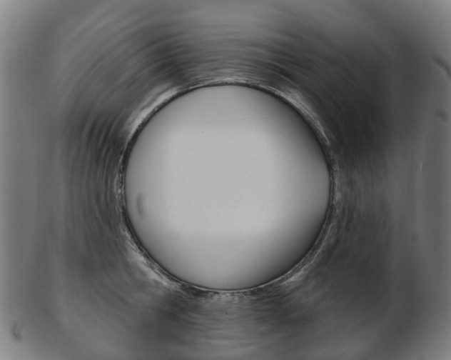 X0000103490806200809120949