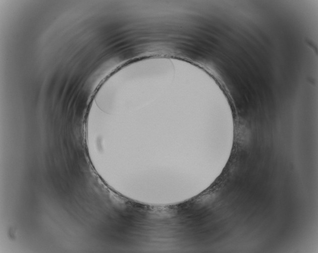 X0000103490807200809120949