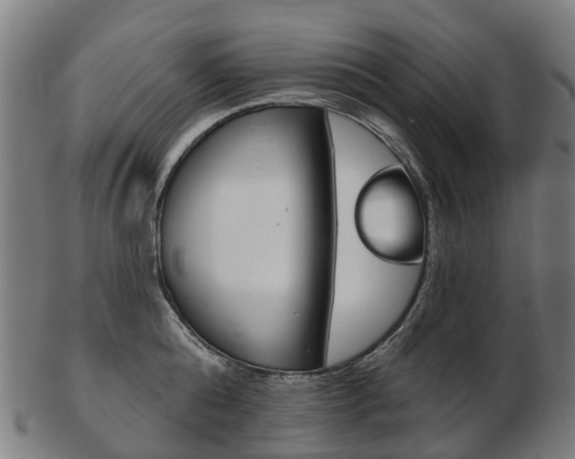 X0000103490808200809120949