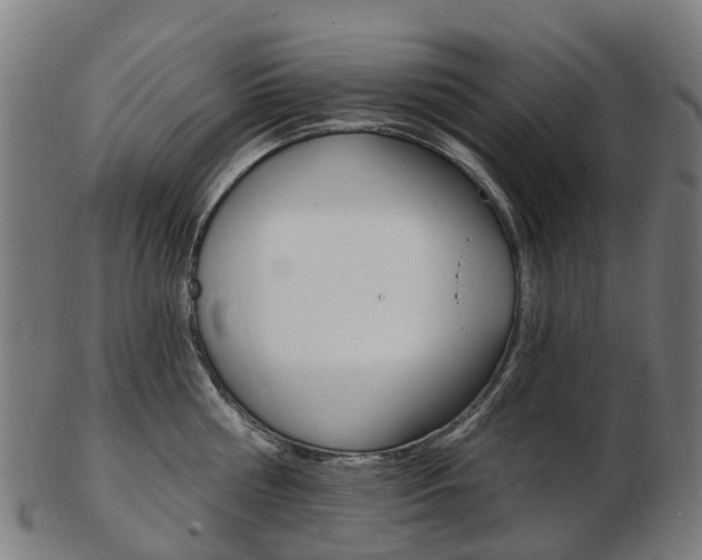 X0000103490810200809120949
