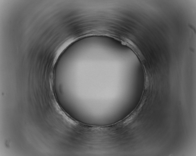 X0000103490812200809120949