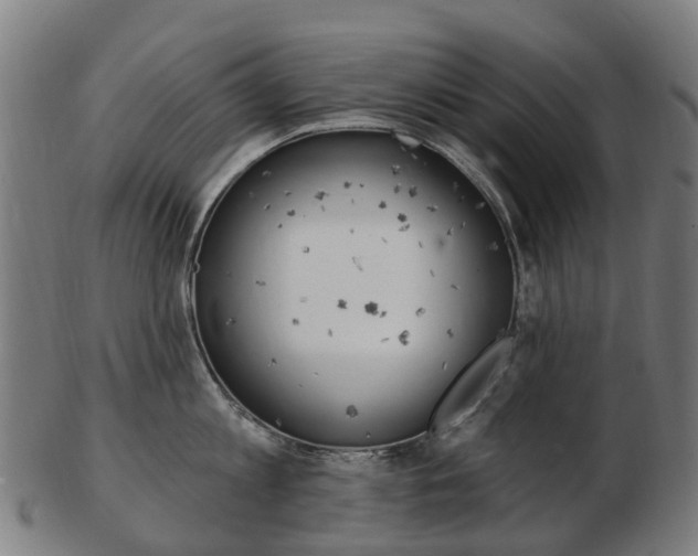 X0000103490813200809120949