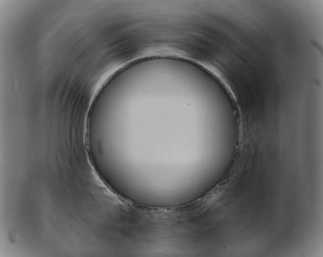 X0000103490815200809120949
