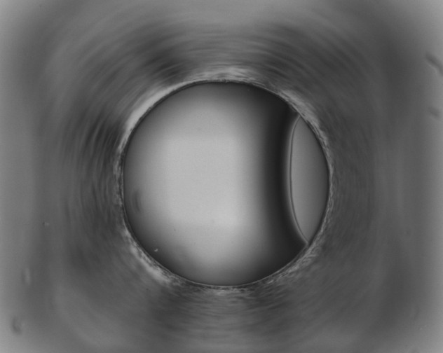 X0000103490816200809120949