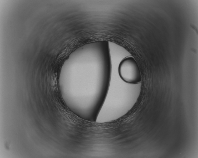 X0000103490818200809120948