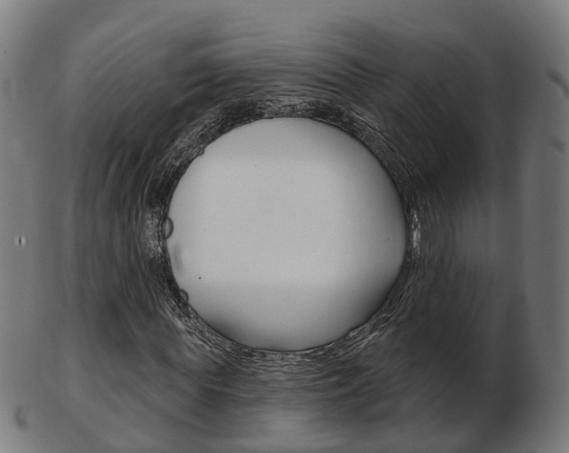 X0000103490819200809120948
