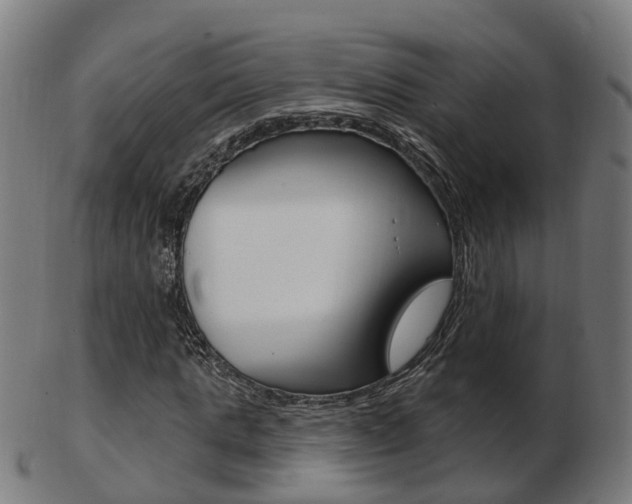 X0000103490821200809120948