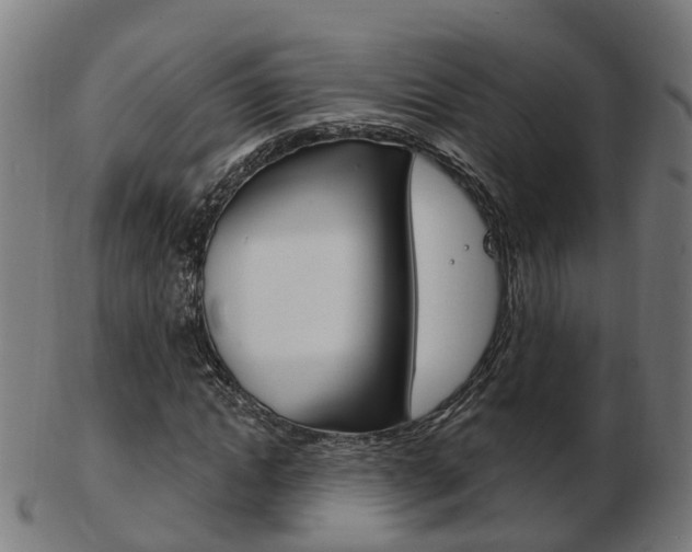 X0000103490822200809120948