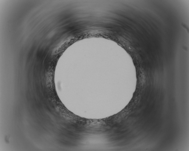 X0000103490824200809120948