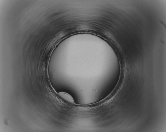 X0000103490825200809120948