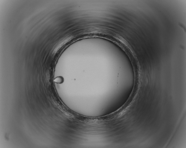 X0000103490826200809120948