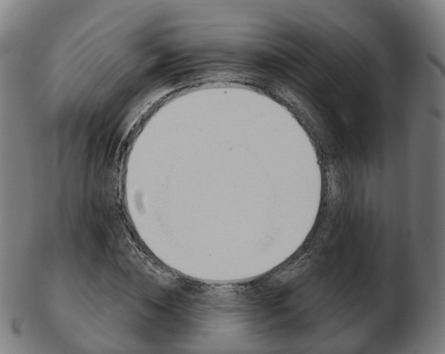 X0000103490828200809120948