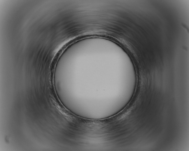 X0000103490830200809120948