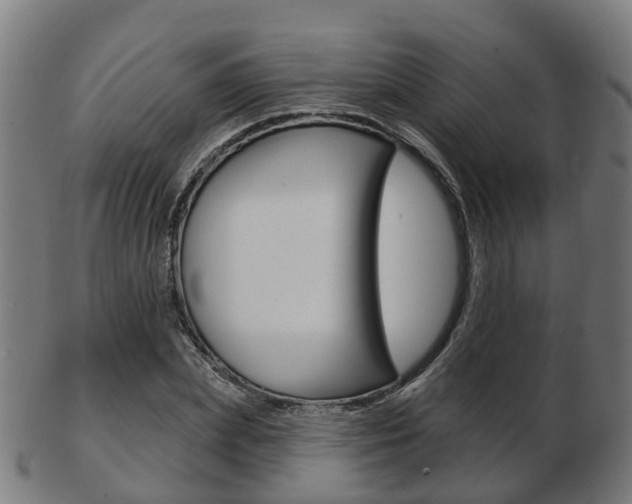X0000103490831200809120948