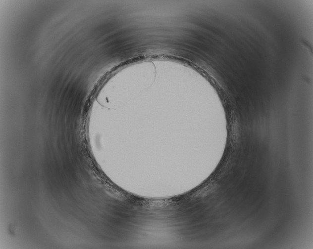 X0000103490832200809120948