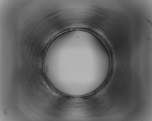 X0000103490833200809120948