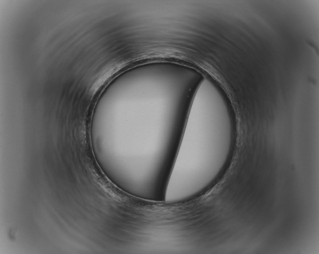 X0000103490834200809120948