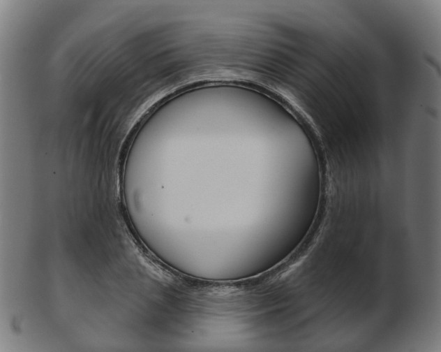 X0000103490837200809120948
