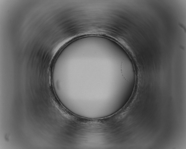 X0000103490838200809120948