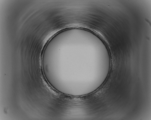 X0000103490839200809120948