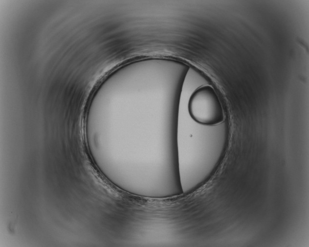 X0000103490840200809120948