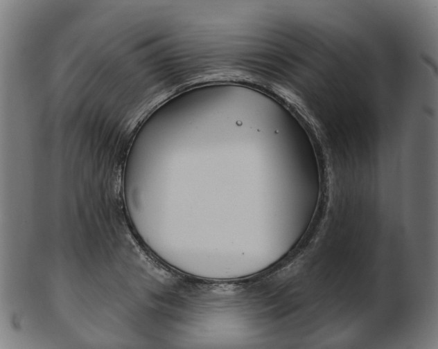 X0000103490841200809120948