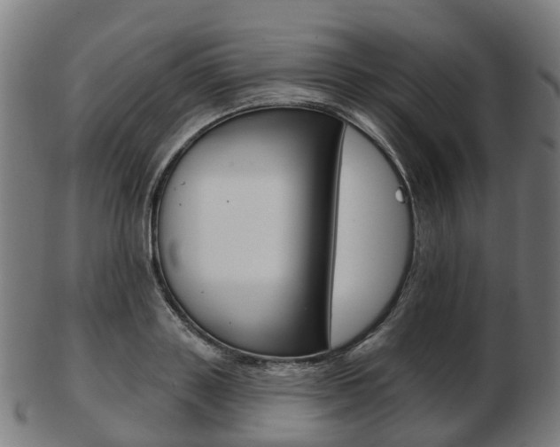X0000103490843200809120948