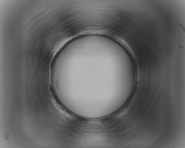 X0000103490844200809120948