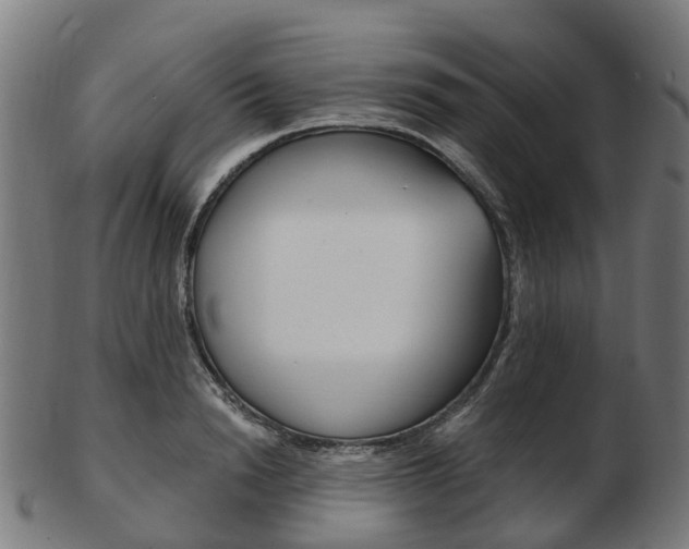 X0000103490846200809120948