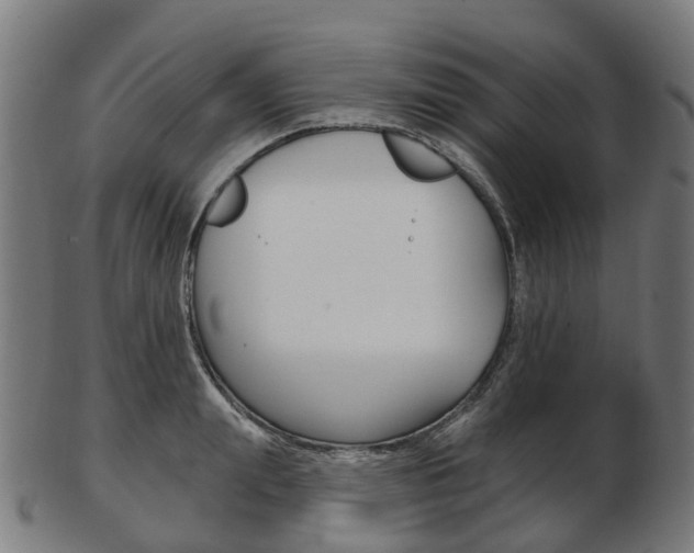 X0000103490847200809120948