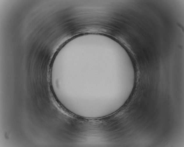 X0000103490848200809120948