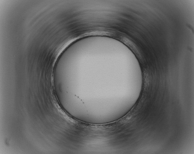 X0000103490852200809120949