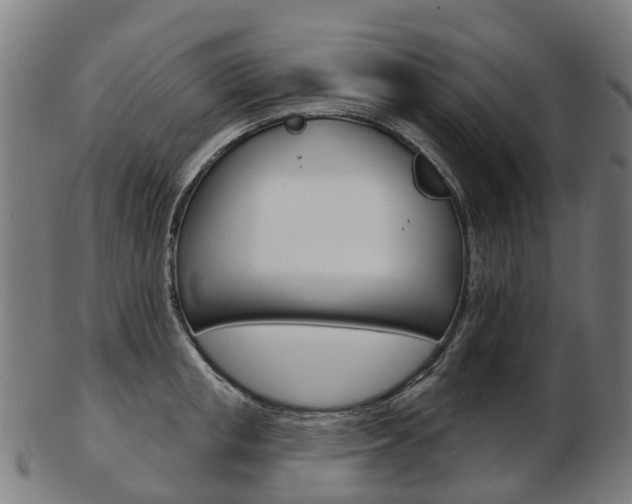X0000103490853200809120949