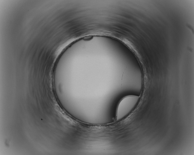 X0000103490854200809120949