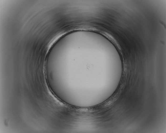 X0000103490855200809120949