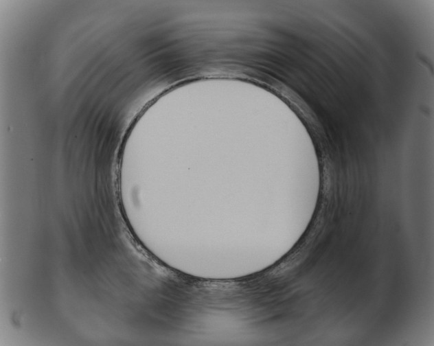 X0000103490856200809120949