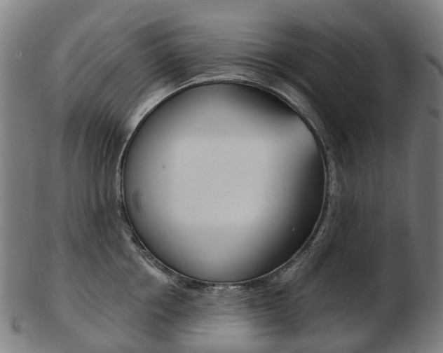 X0000103490858200809120949