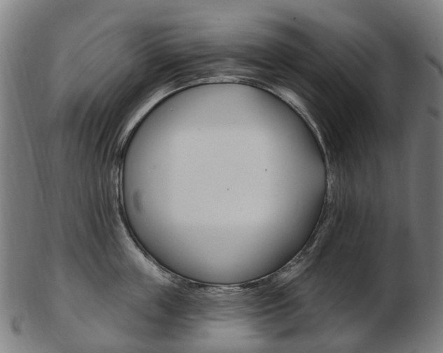 X0000103490859200809120949