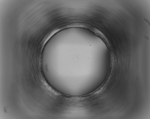 X0000103490860200809120949