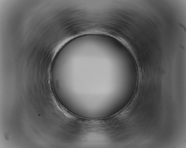 X0000103490862200809120949