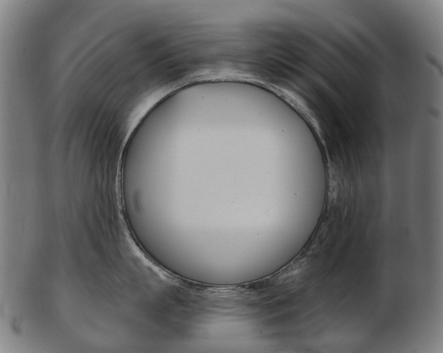 X0000103490863200809120949