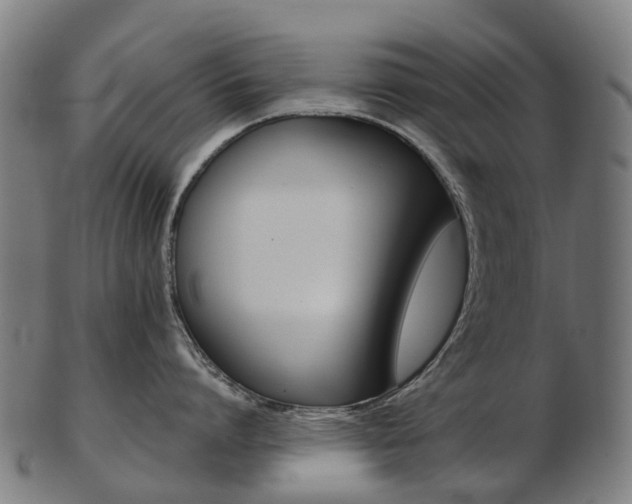 X0000103490864200809120949