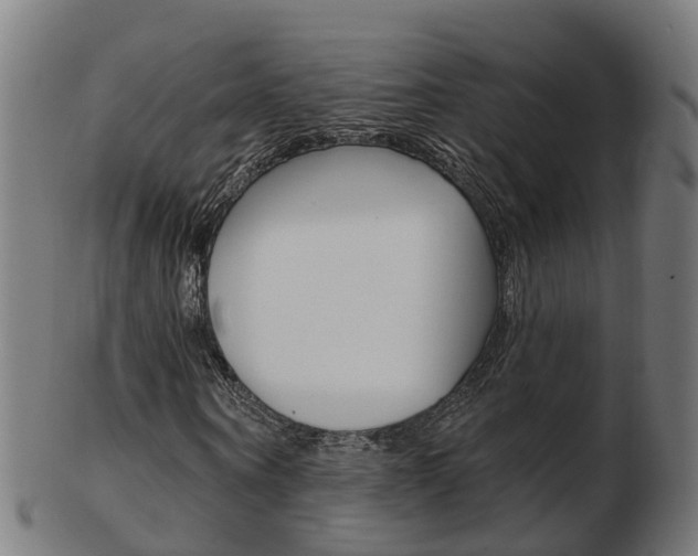 X0000103490866200809120948