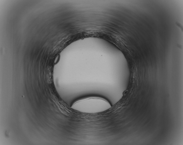 X0000103490868200809120948