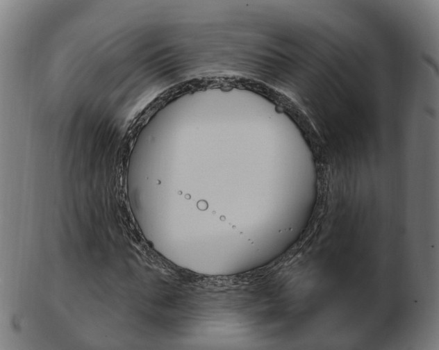 X0000103490871200809120948