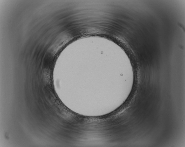 X0000103490873200809120948
